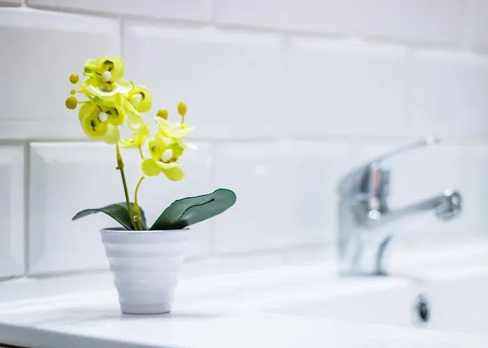 Casa Do Carmo By Junto Ao Mar